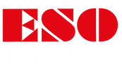 ESO Endoskopietechnik Logo Fußzeile 01